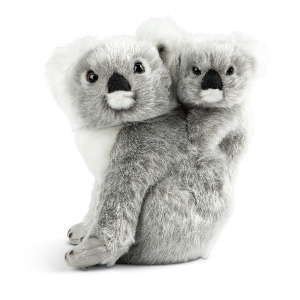 Koala & Baby - mygreentoy.com