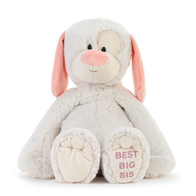 Best Big Sister Plush Dog 16" - mygreentoy.com